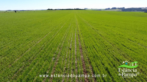 VAI DA BR PARA A FAZENDA.00_01_27_08.Quadro014_1525266ae491a730185ef05ac22c66e6f2502927.jpg